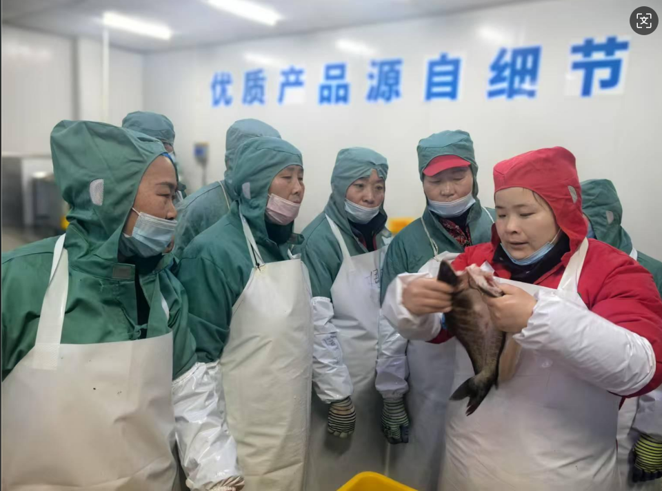 尊龙抖圈 - 为du而生