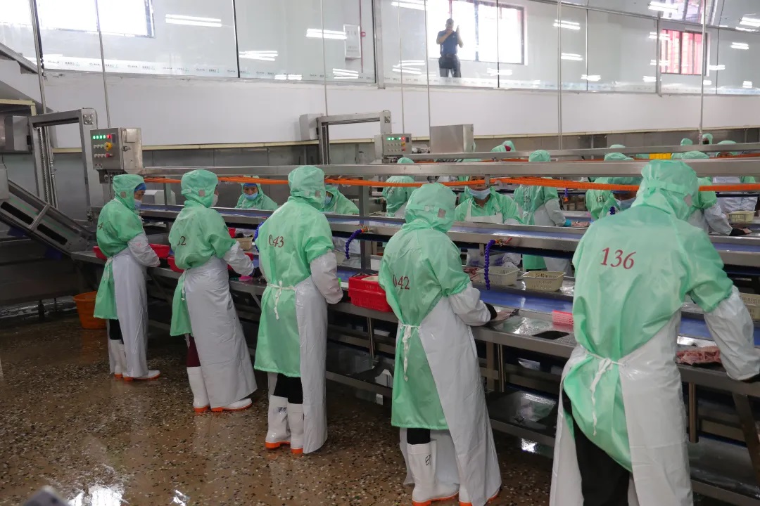 尊龙抖圈 - 为du而生