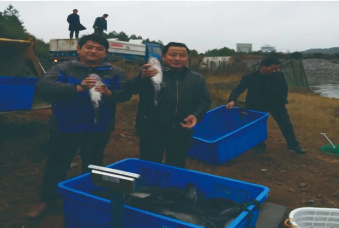 尊龙抖圈 - 为du而生