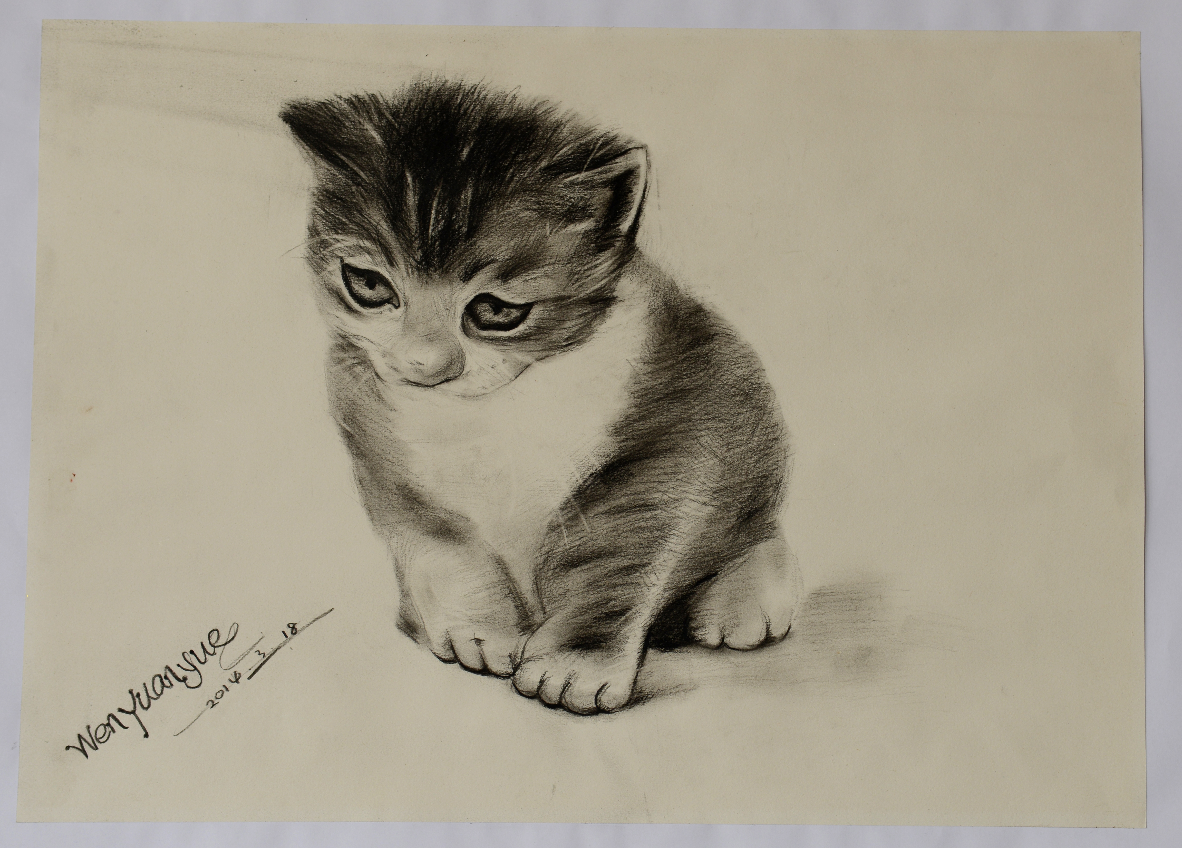 尊龙抖圈 - 为du而生