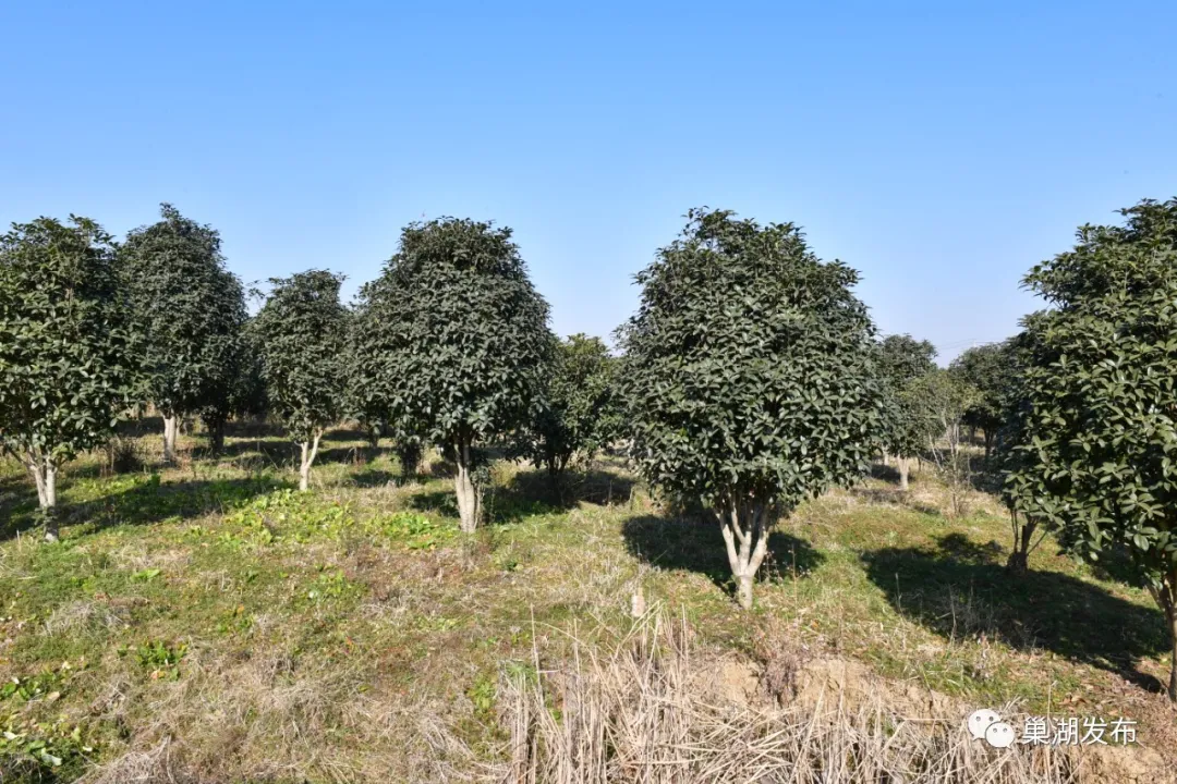 尊龙抖圈 - 为du而生