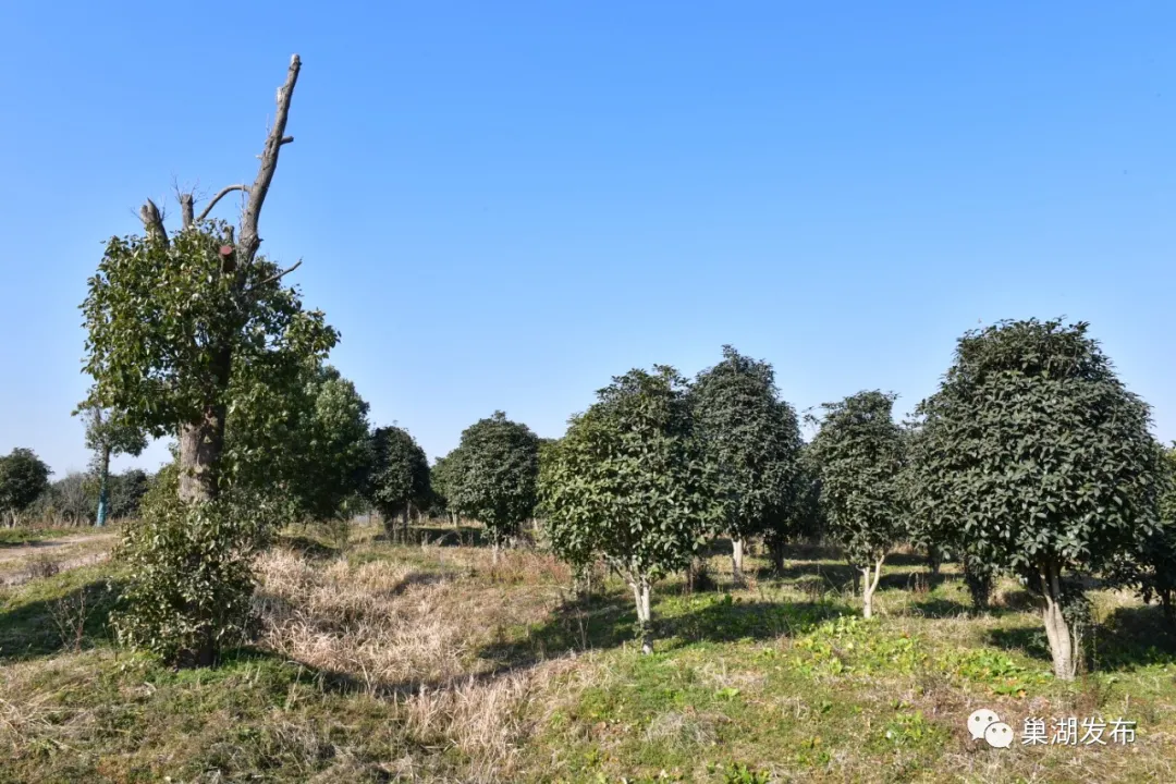 尊龙抖圈 - 为du而生