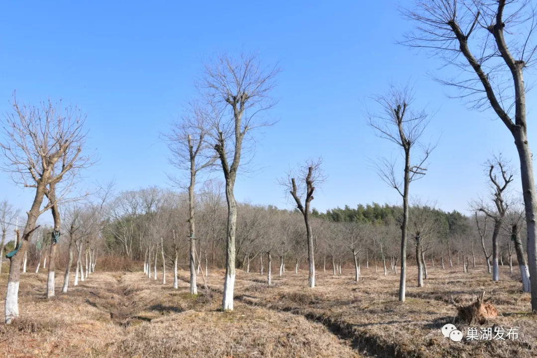 尊龙抖圈 - 为du而生