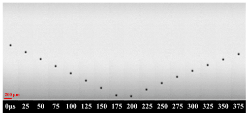 尊龙抖圈 - 为du而生