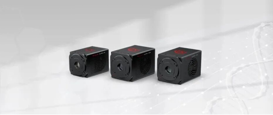 尊龙抖圈 - 为du而生