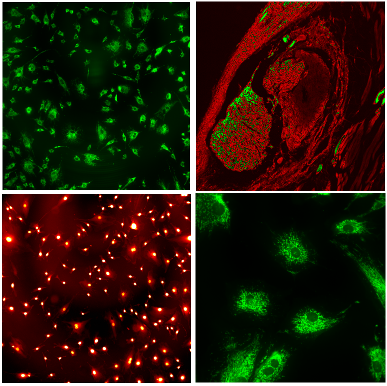 尊龙抖圈 - 为du而生