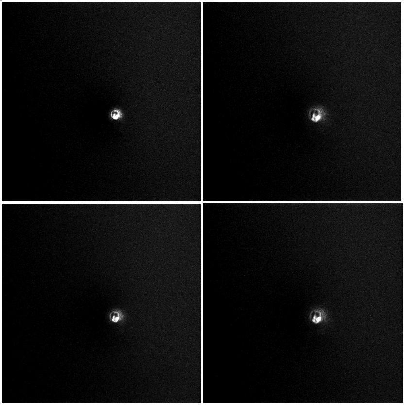 尊龙抖圈 - 为du而生